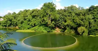 কাপ্তাই হ্রদে মাছ শিকারে নিষেধাজ্ঞা বাড়লো আরও ২ দিন